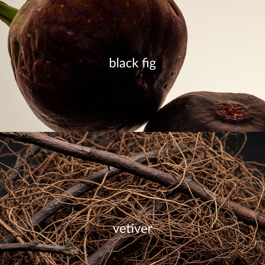 Two black figs with 'black fig' text above and a close-up of vetiver roots with 'vetiver' text below.