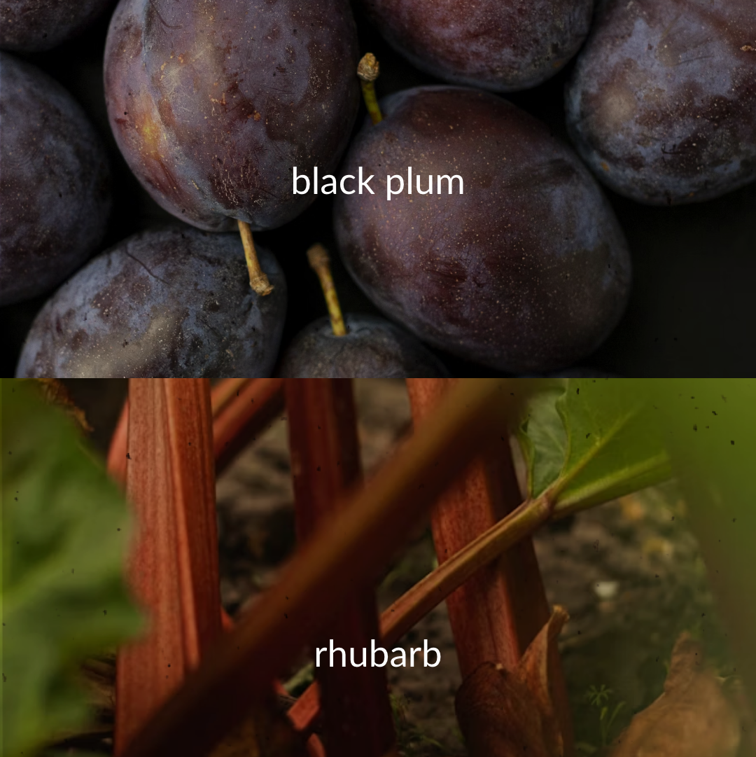 Top image of black plums with 'black plum' text, bottom image of rhubarb with 'rhubarb' text.