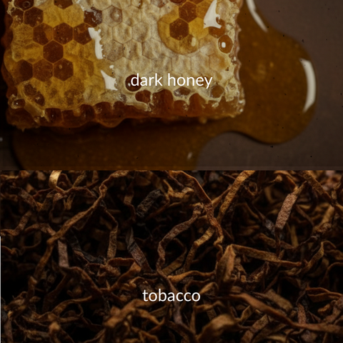Close-up of honeycomb with dark honey and tobacco leaves.