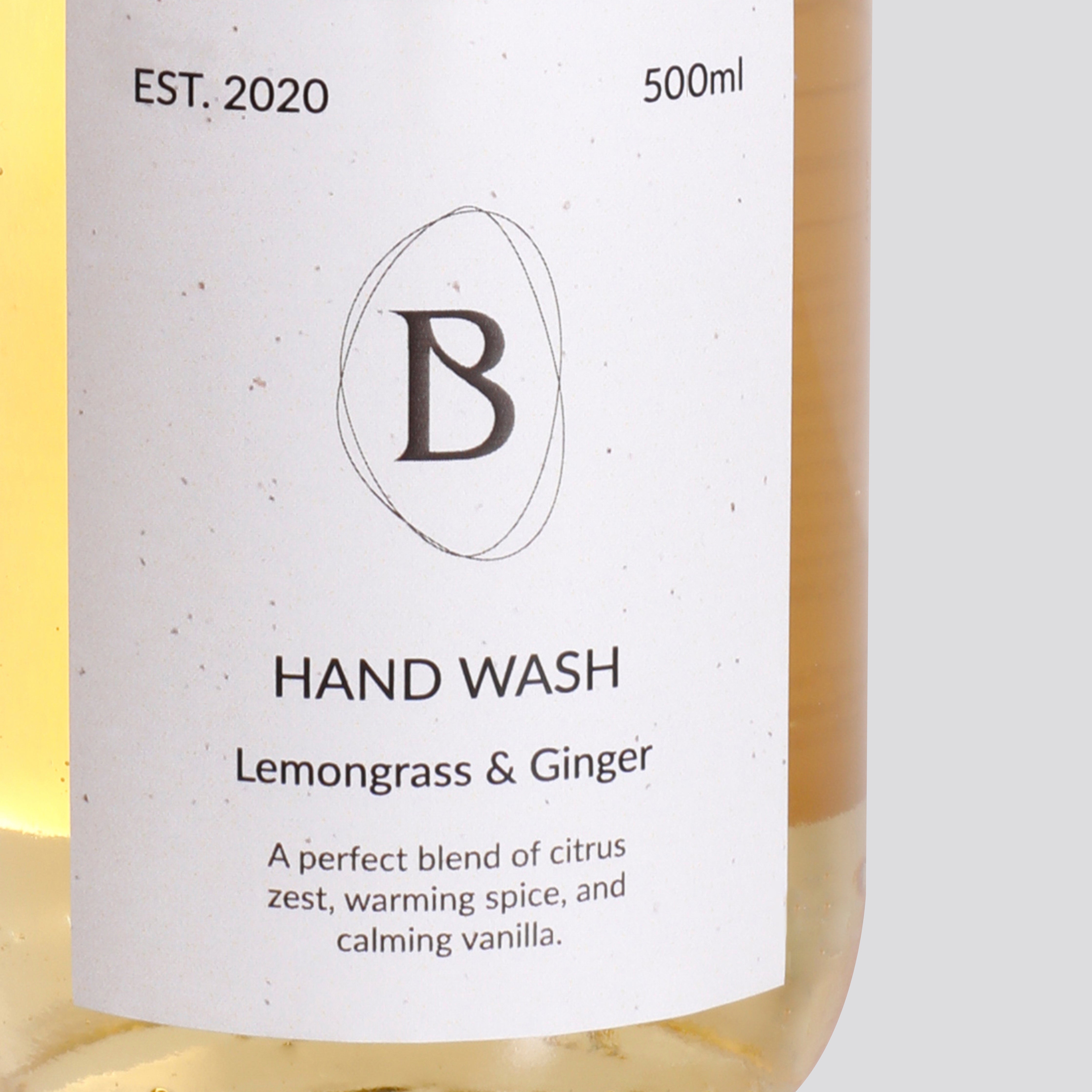 Hand wash bottle labeled 'Lemongrass & Ginger' with brand logo on a white background